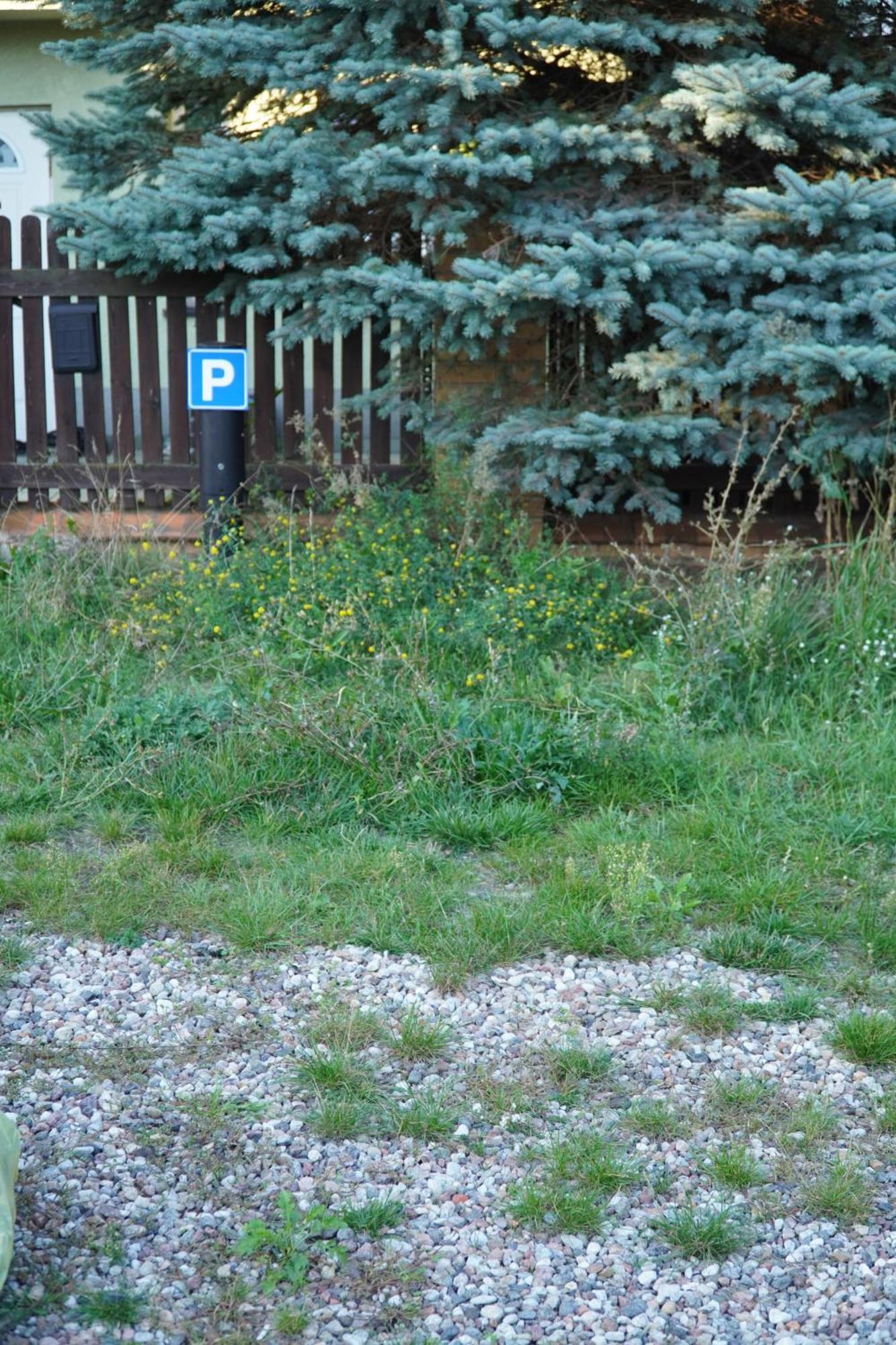 Apartament Paderewski Poznań Exteriör bild